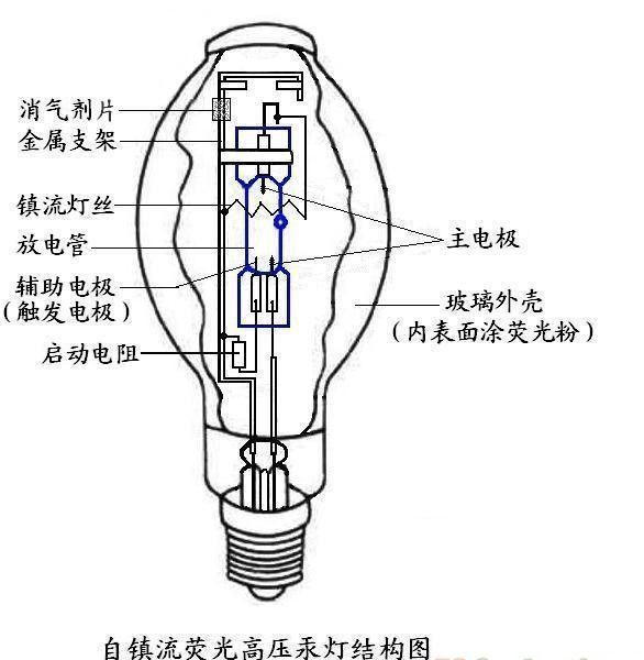 灯泡的内部结构图图片